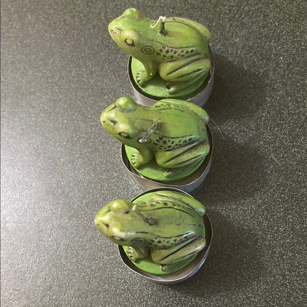 Green Frog Reptile Candle Set